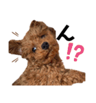 犬編（個別スタンプ：5）