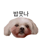 犬編（個別スタンプ：10）
