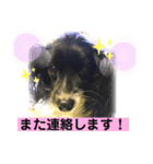 パピパピパピヨン！(4)（個別スタンプ：4）