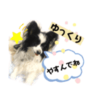 パピパピパピヨン！(4)（個別スタンプ：14）