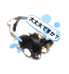 パピパピパピヨン！(4)（個別スタンプ：15）