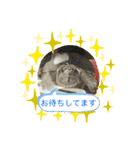 きざきのアイドル、スクワート（個別スタンプ：7）