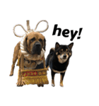 あたしは黒い柴犬だワン！（個別スタンプ：2）