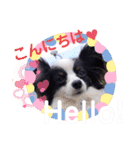 パピヨンの笑門ちゃん（個別スタンプ：2）