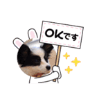 パピヨンの笑門ちゃん（個別スタンプ：18）