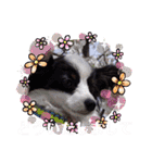 パピヨンの笑門ちゃん（個別スタンプ：22）