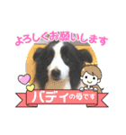 ボーダーコリー・バディ君（個別スタンプ：19）