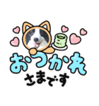 ボーダーコリー・バディ君（個別スタンプ：23）