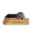 moko  犬のスタンプ（個別スタンプ：6）