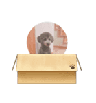 moko  犬のスタンプ（個別スタンプ：7）