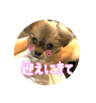 ムギの良く使うスタンプ（個別スタンプ：10）