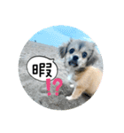 ムギの良く使うスタンプ（個別スタンプ：14）