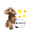 おぱんつのちゃーこ（個別スタンプ：9）