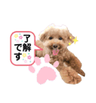 おぱんつのちゃーこ（個別スタンプ：11）