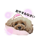 おぱんつのちゃーこ（個別スタンプ：16）