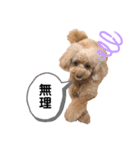 おぱんつのちゃーこ（個別スタンプ：18）