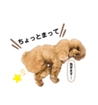 おぱんつのちゃーこ（個別スタンプ：20）