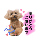 おぱんつのちゃーこ（個別スタンプ：22）