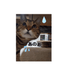 ぴのとE3③（個別スタンプ：7）