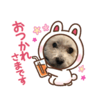 蓮③（個別スタンプ：4）
