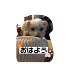 蓮③（個別スタンプ：5）