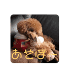 ポアロの日常生活（個別スタンプ：3）