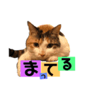 まろ＆もも（個別スタンプ：15）