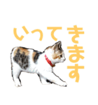 まろ＆もも（個別スタンプ：25）