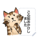 かわいいねこ メッセージスタンプ（個別スタンプ：6）