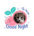 neko123456（個別スタンプ：3）