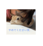 りんの日常。ときどきこむぱん。（個別スタンプ：2）