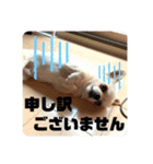 受付ちょちゃんさん（個別スタンプ：10）