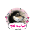 柴犬モコ＆稲穂 3（個別スタンプ：6）