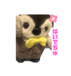 ぺんぎんのあかちゃん、ぽんちゃん（個別スタンプ：1）