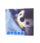 ぺんぎんのあかちゃん、ぽんちゃん（個別スタンプ：2）
