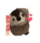 ぺんぎんのあかちゃん、ぽんちゃん（個別スタンプ：3）