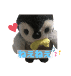 ぺんぎんのあかちゃん、ぽんちゃん（個別スタンプ：7）