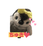 ぺんぎんのあかちゃん、ぽんちゃん（個別スタンプ：8）