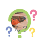 カメと鳥（個別スタンプ：11）
