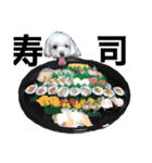 かわいすぎるマルチーズ（個別スタンプ：10）