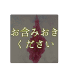 INKeigo（インク×敬語）（個別スタンプ：16）