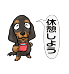 Mダックスフント(犬)（個別スタンプ：2）