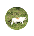 需要不明のスタンプ（個別スタンプ：6）