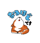 柴犬ちょびすけ3（個別スタンプ：2）