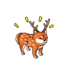 柴犬ちょびすけ3（個別スタンプ：4）