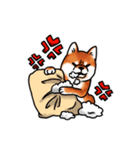 柴犬ちょびすけ3（個別スタンプ：7）