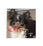 うるまろ（個別スタンプ：11）