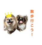 うるまろ（個別スタンプ：16）