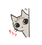 ゆふぃにゃんにゃんスタンプ（個別スタンプ：1）
