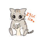 ゆふぃにゃんにゃんスタンプ（個別スタンプ：2）